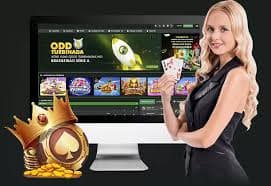 8qbet com
